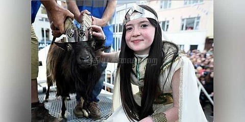 2 நாள் ராஜாவான ஆடு: இது அயர்லாந்து வினோதம்!