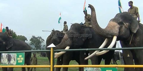 தேசியக் கொடிக்கு மரியாதை செலுத்திய யானைகள்