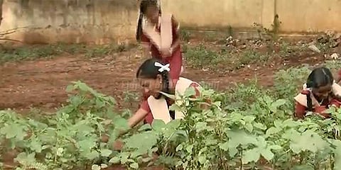 அரசு பள்ளியில் முதல் முறையாக மாணவர்கள் தோட்டம்