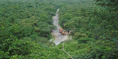 வனவிலங்குகளுக்கு இடையூறு செய்தால் கடும் நடவடிக்கை - வனத்துறை எச்சரிக்கை