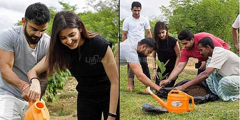 கோலியுடன் மரம் நடும் அனுஷ்கா