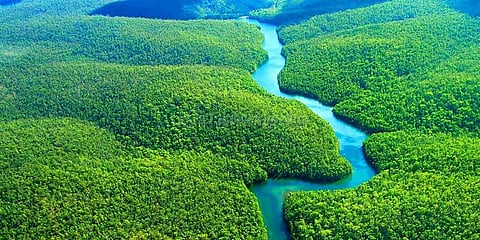 அமேசான் காடுகளில் கனிமச் சுரங்கங்கள் அமைக்க அனுமதி