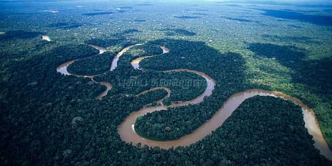 அமேசான் ஒரு ஆச்சர்யம்: 40,000 வகை தாவரங்கள், ஒளி புகா காடு, ஆக்ஸிஜனின் பிறப்பிடம்