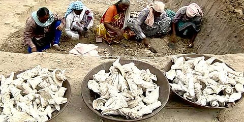 2,000 ஆண்டுகளுக்கு முந்தைய தமிழர்களின் பெருமையை பறைசாற்றும் சுவடுகள்