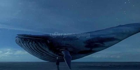 ப்ளூவேல் அபாயம்... மரணத்தின் விளிம்பில் மீட்கப்பட்ட சிறுவன்