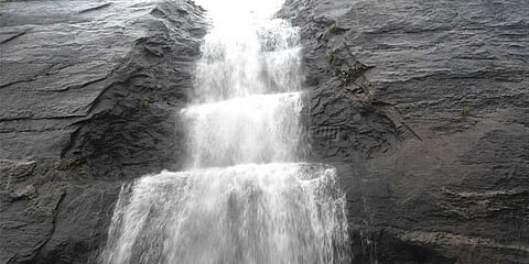 குற்றாலத்தில் வெள்ளம்: அருவிகளில் குளிக்கத் தடை