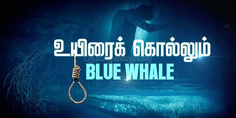 ரஷ்ய இளைஞனால் உருவாக்கப்பட்ட விளையாட்டு... உயிர்பறிக்கும் ’ப்ளுவேல்’