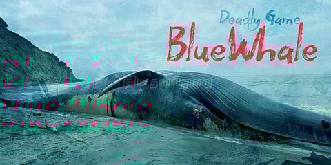 உங்களை மரணத்திற்கு தயார்படுத்தும் ப்ளூவேலின் இலக்குகளும், விளக்கமும்!