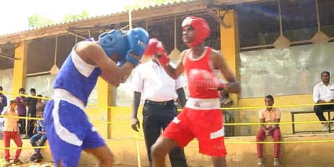 மாணவர்களுக்கு இடையேயான குத்துச்சண்டை போட்டி: 300 பேர் பங்கேற்பு