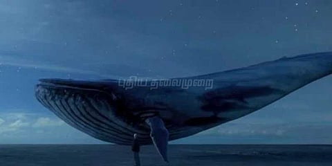 ப்ளூவேல் விளையாட்டில் இருந்து மாணவி மீட்பு