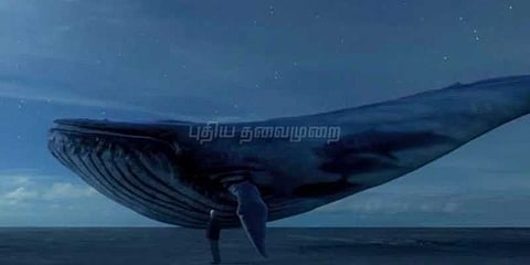 ப்ளூவேல் கேம் அட்மினை கண்டுபிடித்தால் ரூ.1 லட்சம் பரிசு