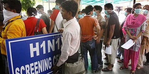 தெலங்கானாவில் வேகமாக பரவும் பன்றிக்காய்ச்சல் நோய்