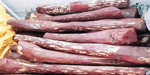 செம்மரங்கள் கடத்தியதாக தமிழகத்தை சேர்ந்த 5 பேர் கைது