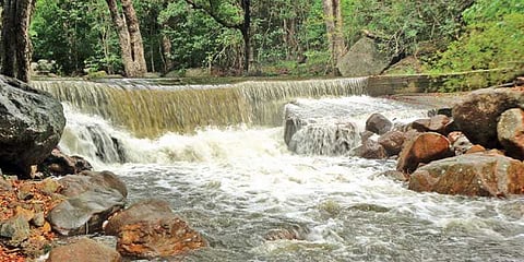 களக்காடு தலையணையில் குளிக்கத் தடை