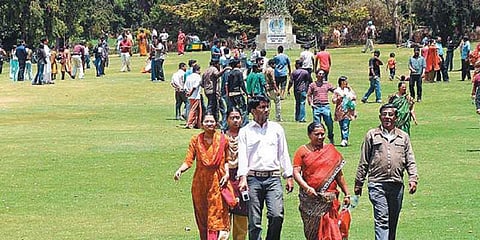 பூத்துக் குலுங்கும் மலர்கள்: குன்னூரில் குவியும் சுற்றுலா பயணிகள்