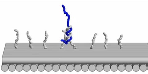 மனித டிஎன்ஏவிலிருந்து உருவாக்கப்படும் ரோபோக்கள்