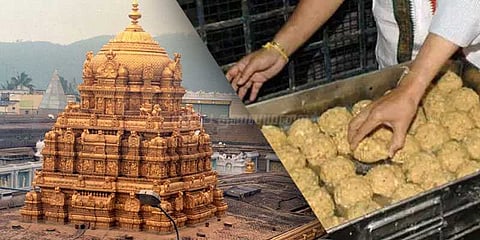 திருப்பதி லட்டுக்கு கிடைத்தது லைசென்ஸ்