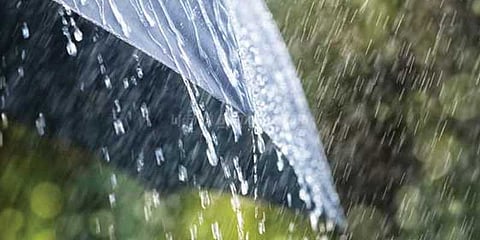 ஏரிக்கு வந்த நீரை மலர்தூவி வரவேற்ற மக்கள்