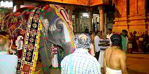 ஸ்ரீரங்கம் கோயிலில் யானை நொண்டியடிக்கும் நிகழ்வு நிறுத்தம்