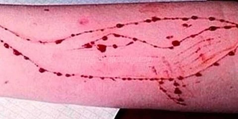 ப்ளூ வேல் விபரீதம்: 12 வயது சிறுவன் தண்டவாளத்தில் சடலமாக மீட்பு