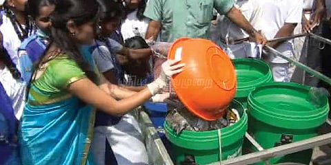 தூய்மையே சேவை இயக்கம்: தொடங்கி வைத்தார் சேலம் ஆட்சியர் ரோகிணி