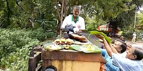 அமாவாசையன்று வாடகைக்கு விடப்பட்ட காகங்கள்