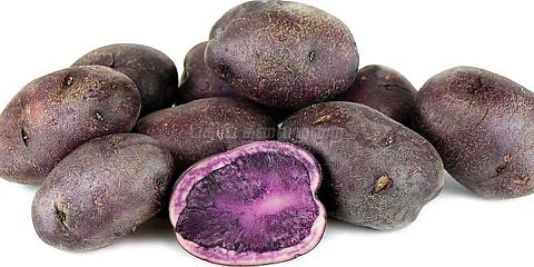 குடல் புற்றுநோயை தடுக்கும் உருளைக்கிழங்கு: ஆய்வில் கண்டுபிடிப்பு