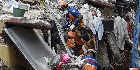 நிலநடுக்க இடிபாடுகளில் சிக்கிய நாய் 6 நாட்களுக்கு பின் உயிருடன் மீட்பு