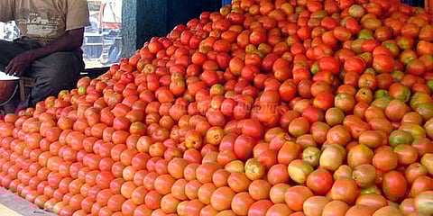 இந்தியாவிலிருந்து வரும் தக்காளியை நிராகரித்த பாகிஸ்தான்!!