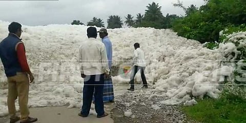 அணை நீரில் பொங்கிவரும் ரசாயன நுரை: வட்டாட்சியர் ஆய்வு