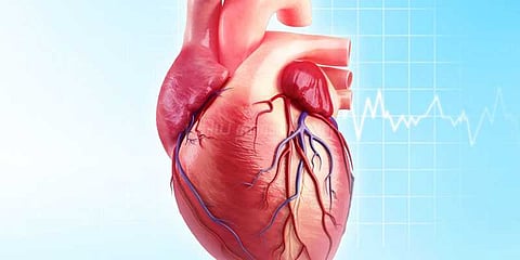 செப். 29 உலக இதய தினம்: இதயம் பற்றிய சில செய்தி துளிகள்