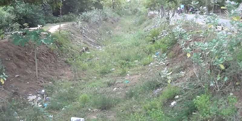 கண்ணீருடன் கடைமடை விவசாயிகள்: தூர்வாரப்படுமா பாசனக்கால்வாய்கள்?