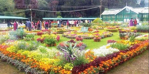 குன்னூரில் சுற்றுலாப் பயணிகளை கவரும் வண்ண மலர்கள்