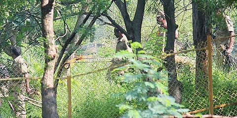 ஊருக்குள் புகுந்த கரடியை விரட்ட பொதுமக்கள் முயற்சி