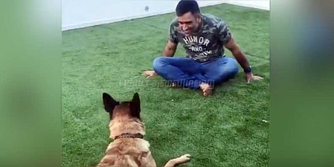 தோனியின் அடுத்த வைரல்!!!