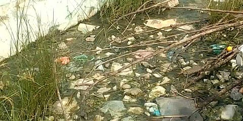 செங்கல்பட்டு அரசு மருத்துவமனையை சுற்றி சுகாதார சீர்கேடு