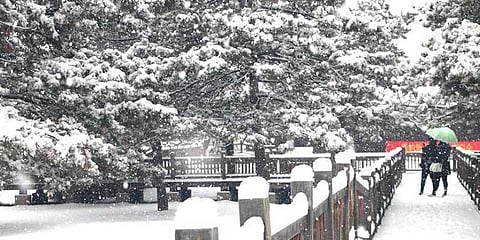 பனிமழை பொழிவால் சீனாவின் இயல்பு வாழ்க்கை பாதிப்பு