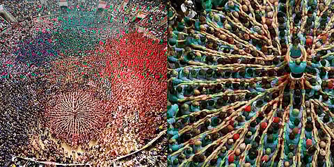 கேட்டலோனியாவின் பாரம்பரிய விளையாட்டு திருவிழா