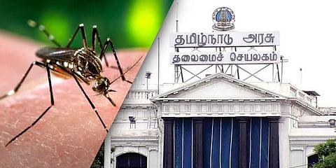 டெங்கு காய்ச்சலில் 11,744 பேர் பாதிப்பு