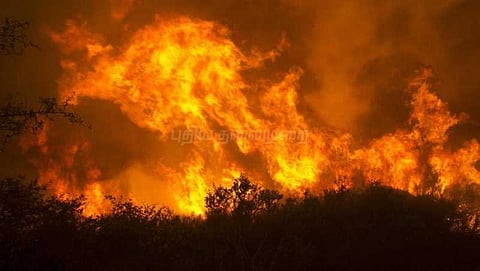 கலிபோர்னியா தீ விபத்து: பலி எண்ணிக்கை 31-ஆக உயர்வு