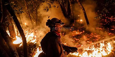 கலிஃபோர்னியா காட்டுத் தீ: பலி எண்ணிக்கை உயர்வு