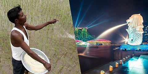 விவசாயிகளை சிங்கப்பூருக்கு அனுப்பும் ஆந்திர அரசு!
