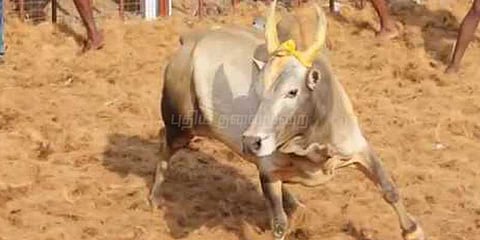 எருதுகட்டு நிகழ்ச்சியில் காவல்துறையினர் 12 பேர் காயம்