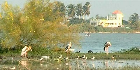 வேடந்தாங்கல் பறவைகள் சரணாலயம் திறப்பு