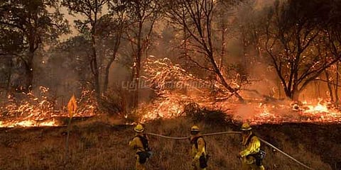 ஸ்பெயினில் வேகமாக பரவும் காட்டுத் தீ: 3 பேர் உடல் கருகி பலி