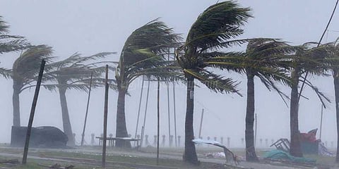 வியட்நாமை அடுத்தடுத்து தாக்கும் புயல்கள்: அச்சத்தில் மக்கள்