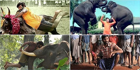 விலங்குகளால் ஹிட்டான தமிழ்ப்படங்கள்