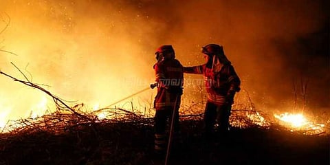 ஸ்பெயினில் இருந்து பரவிய காட்டுத் தீ: போர்ச்சுக்கலில் 36 பேர் பலி