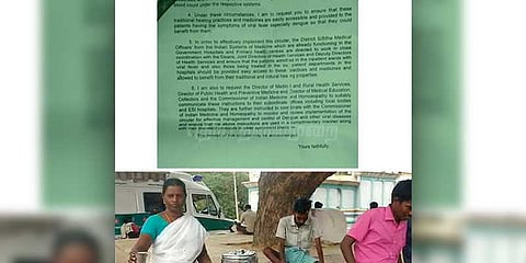 நிலவேம்பு பயன்படுத்தினால் டெங்கு கட்டுப்படுத்தப்படும்: ஆராய்ச்சி முடிவுகள்