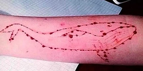 திருவள்ளூரில் ப்ளூவேல் விளையாட்டால் இளைஞர் தற்கொலை?